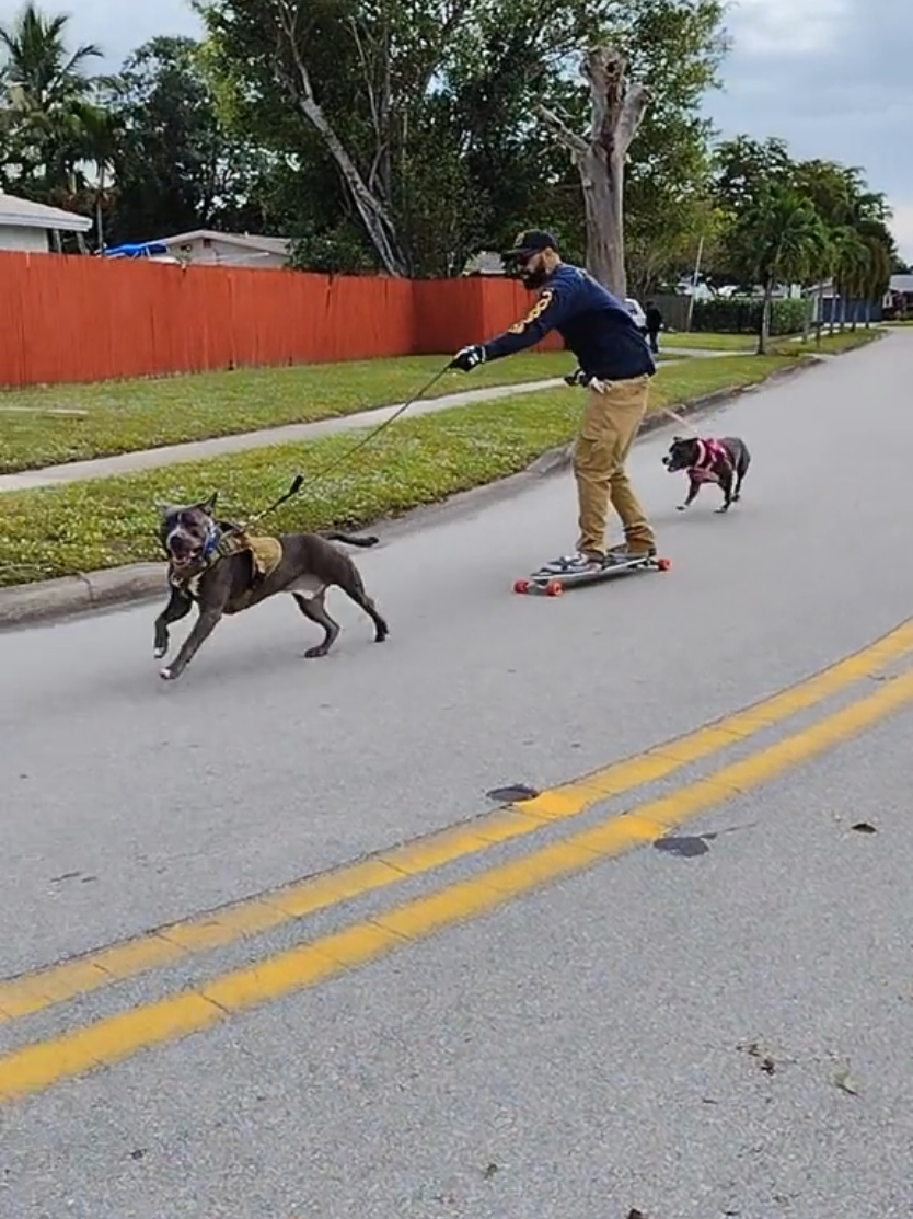 @Just Loko 🐶🐕😍