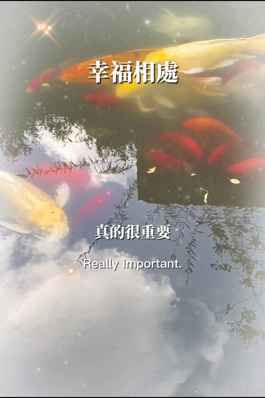 @菲菲