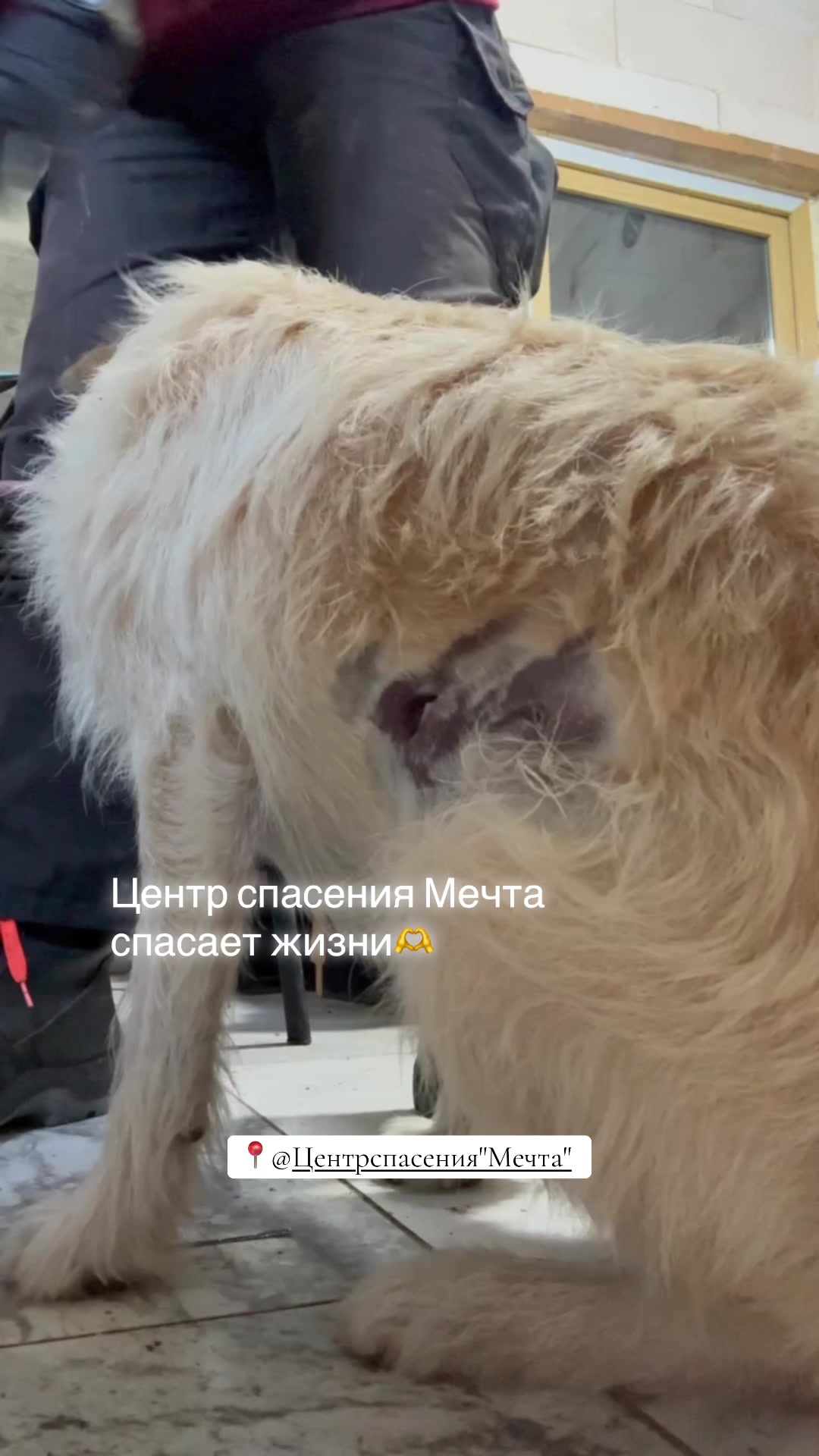 @o.alekseeva