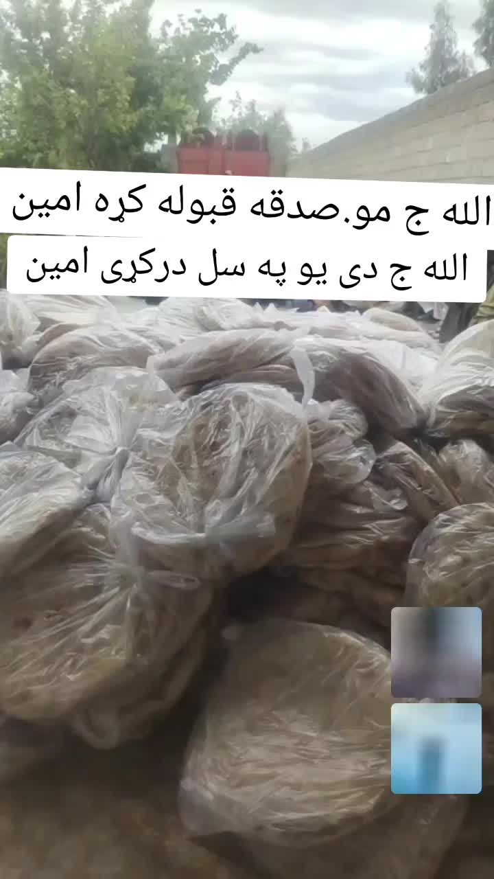 @majahidniazai