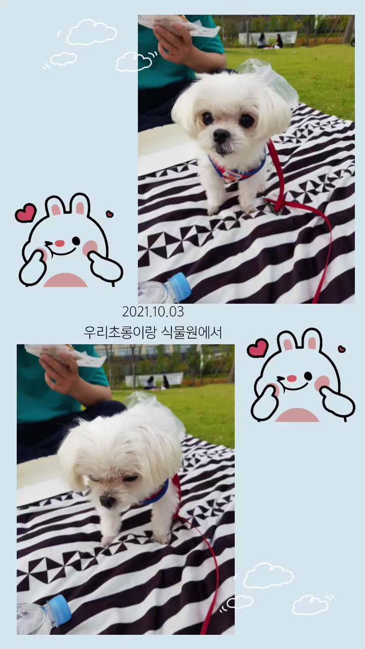 @초롱맘