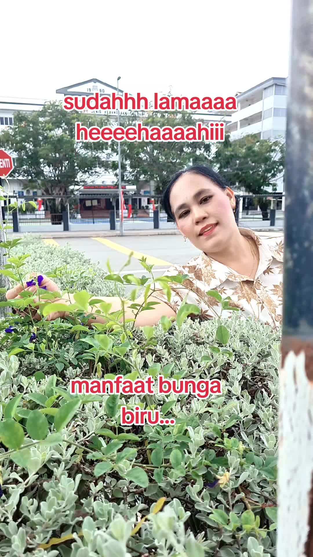 @Barus jamu Nurain