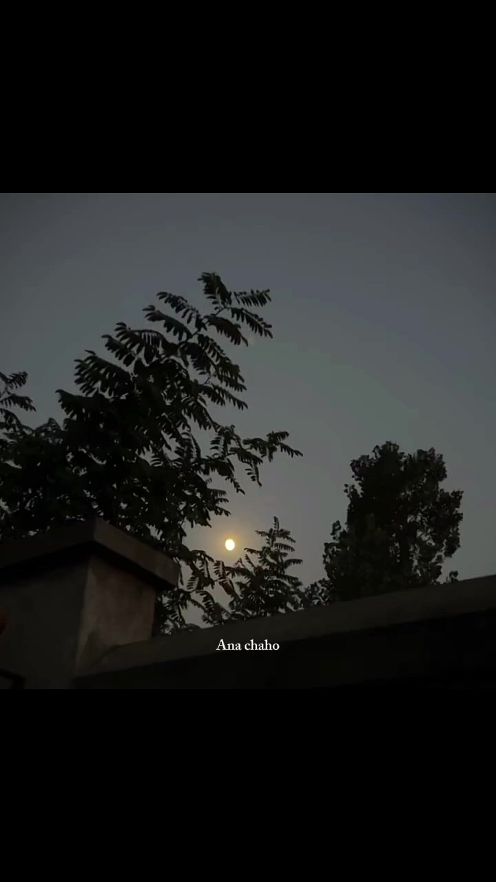 @𝐍𝐎𝐎𝐑~𝐁𝐔𝐓𝐓