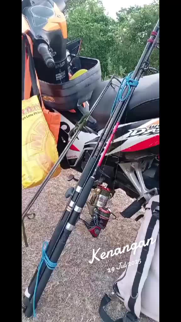 @Toman_Rimba_ll