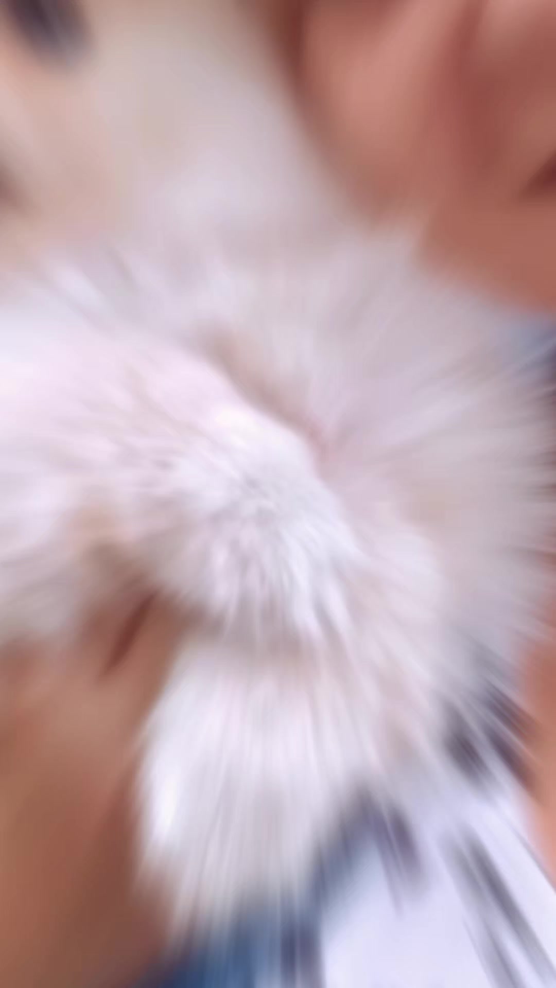 @*ШУНЬКА*