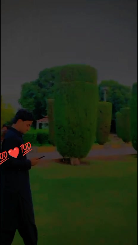@👑Â𝔩ό𝔳Ꮛḽ║▌💕✿