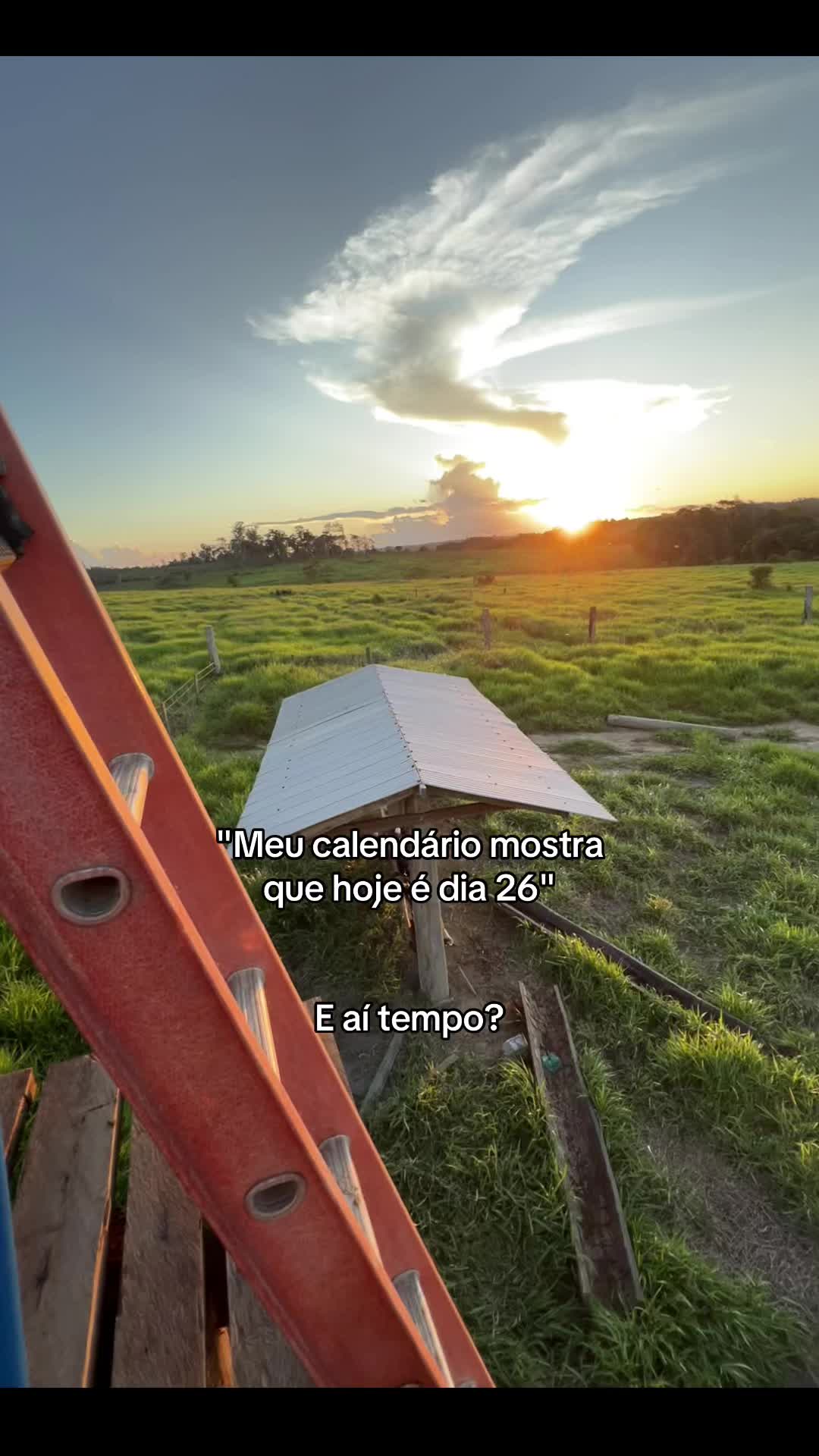 @David.34🪶🇧🇷