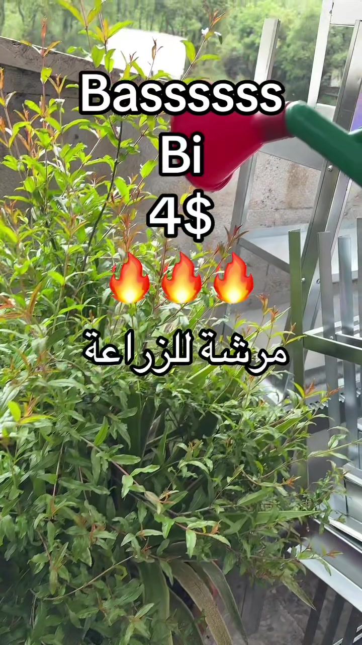 @P3citycomplex