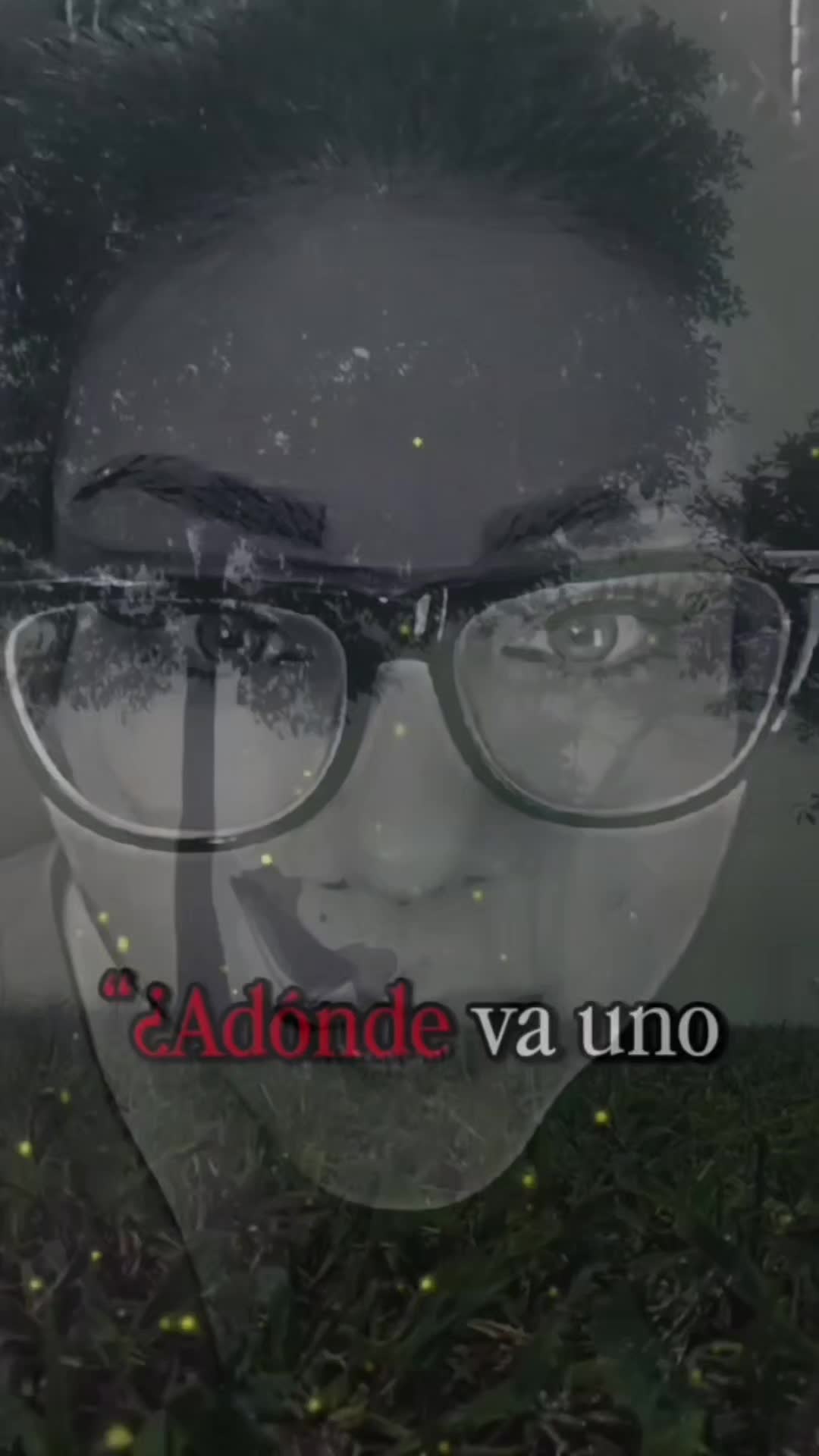@AliceER