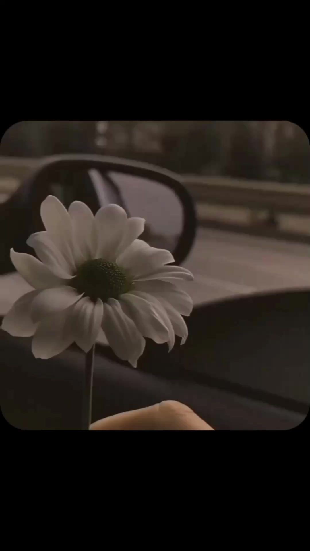 @𝑴𝑼𝑺𝑰𝑪𝑨𝑳 𝑺𝑶𝑼𝑳🎧