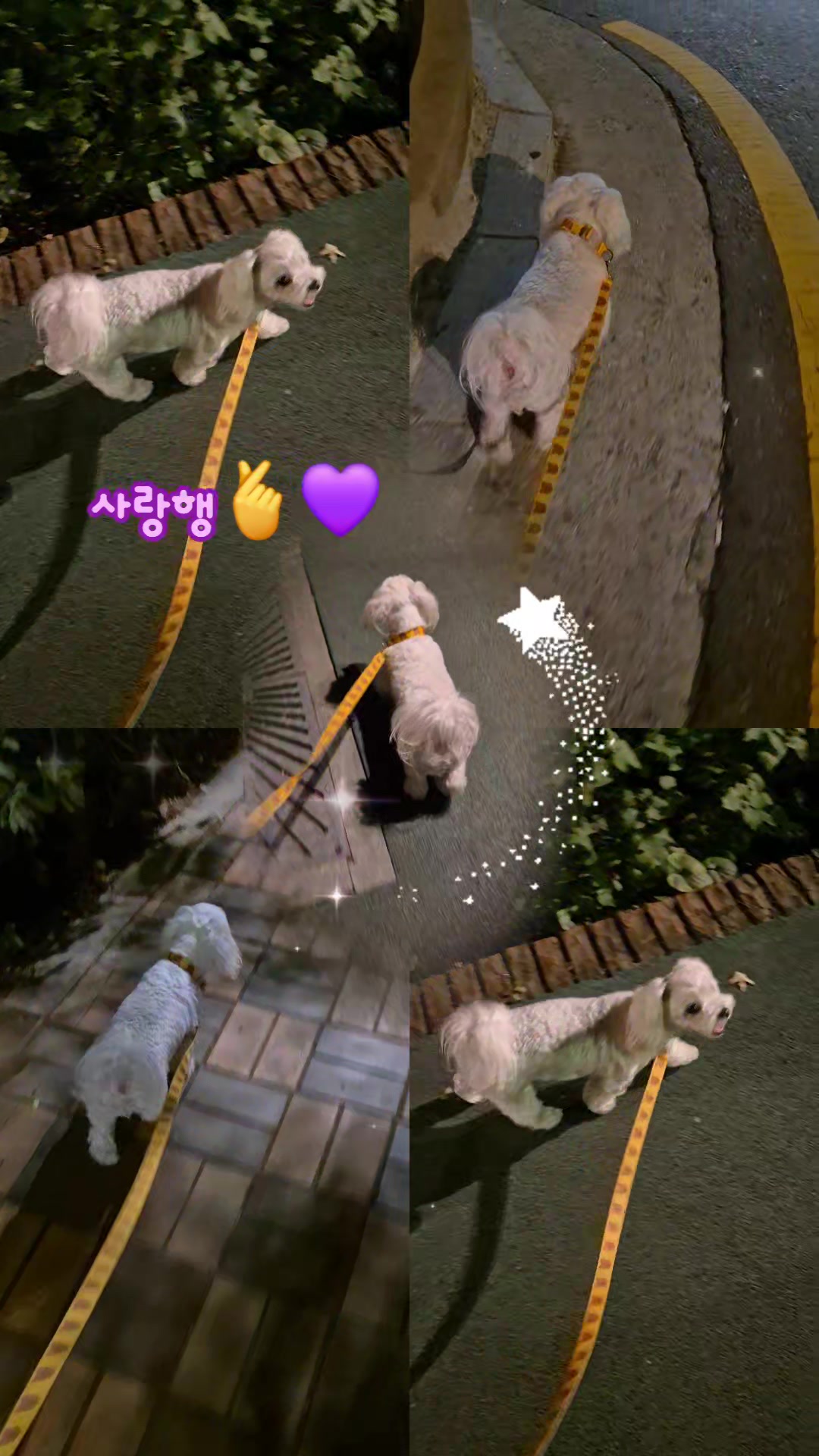 @💜🎀secret🎀💜