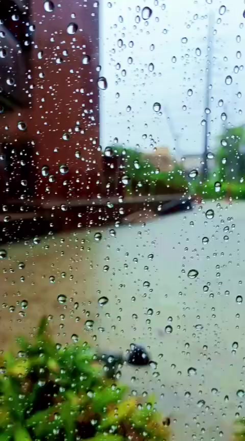 @Hassan Bilal.