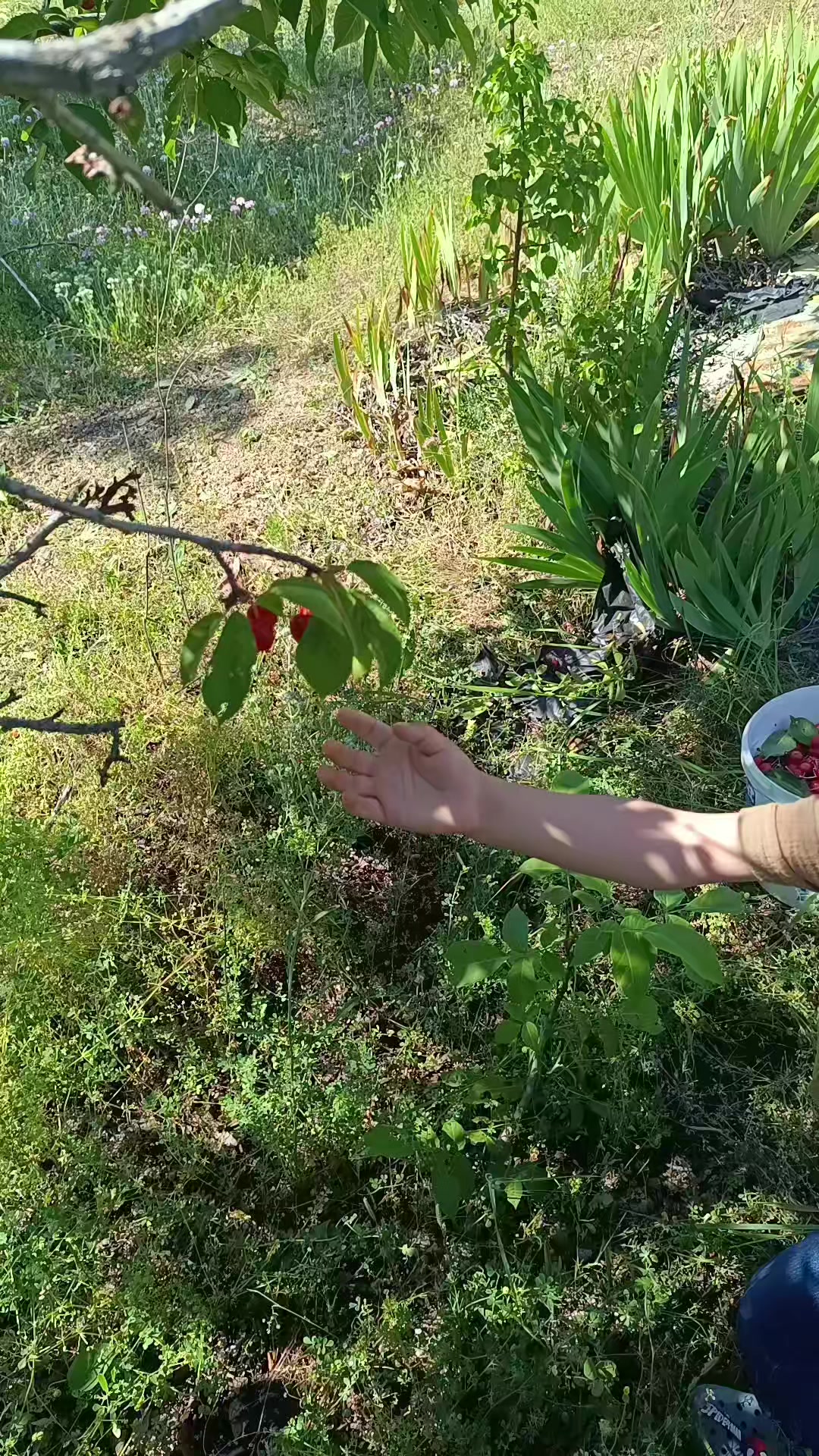 @Duran Karakaş