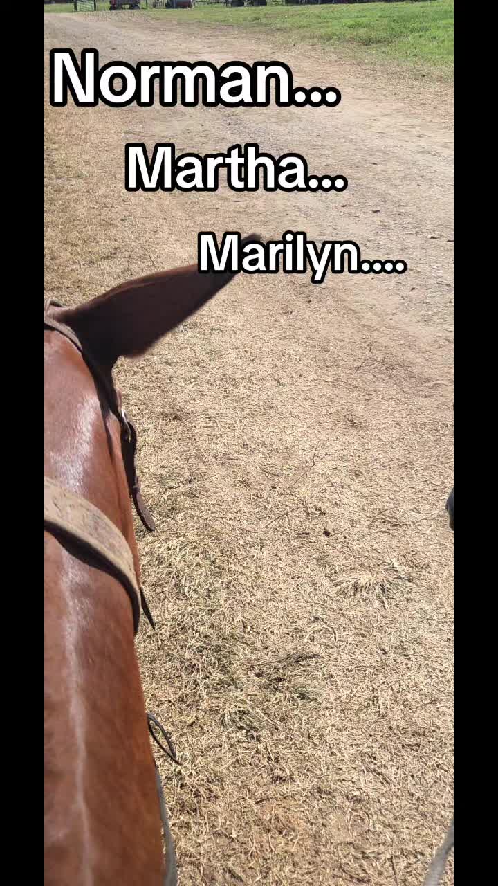 @CactusLMules