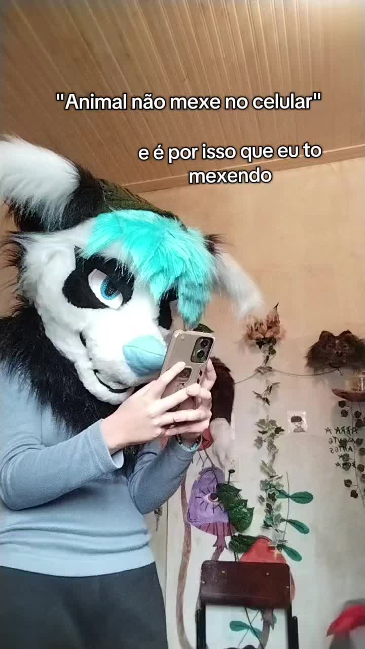 @𐂯✮⋆𝙷𝚞𝚙𝚘𝚕˙𓃡₊˚⊹🐾