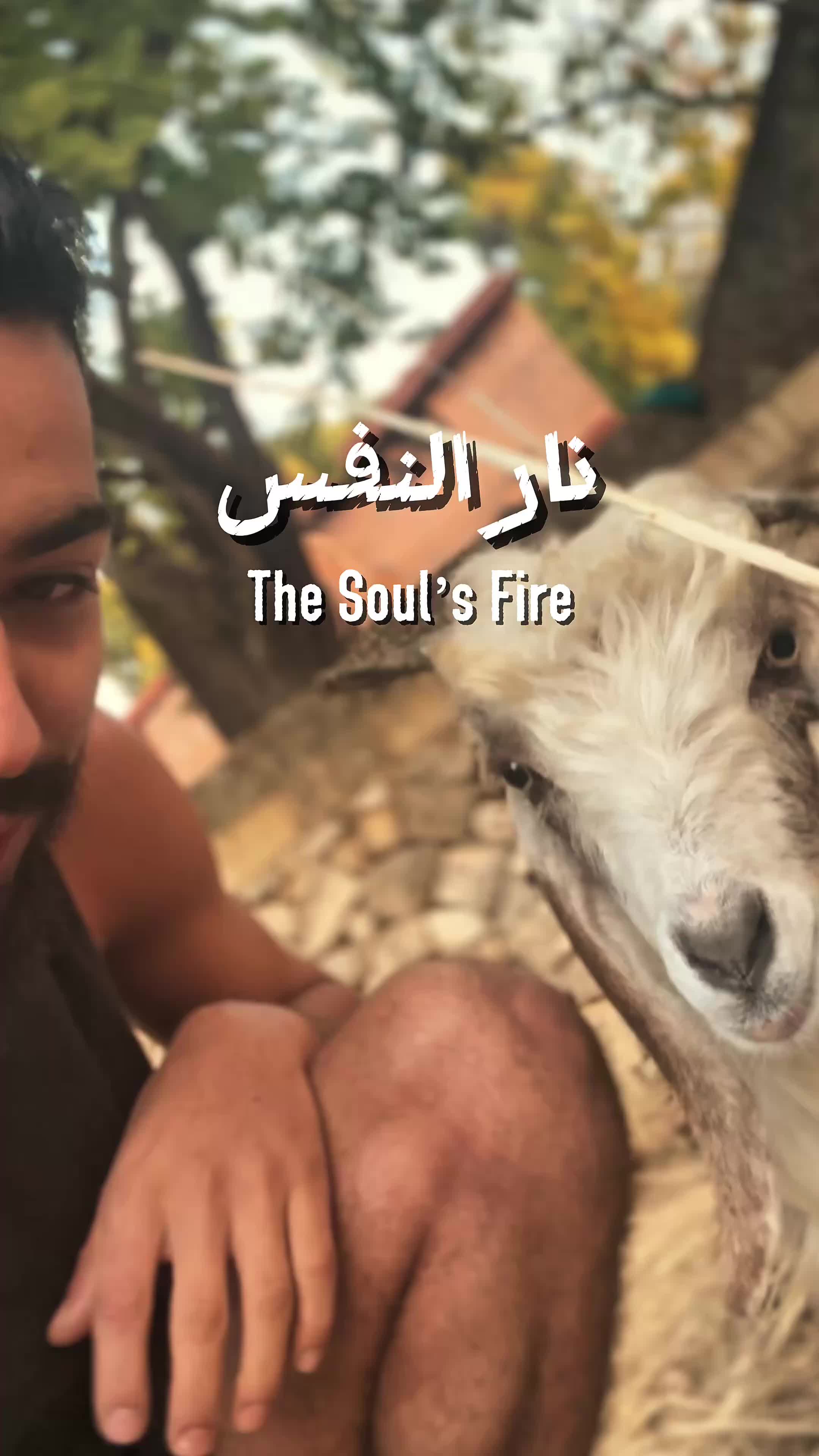 @Wissam Kdouh