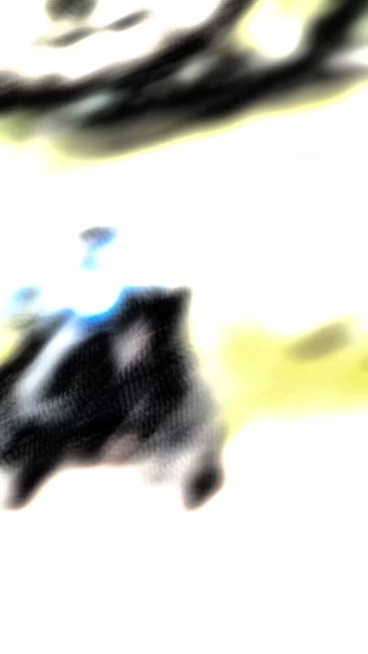 @𝐩 𝐫 𝐨 𝐱 𝐲 🧧”