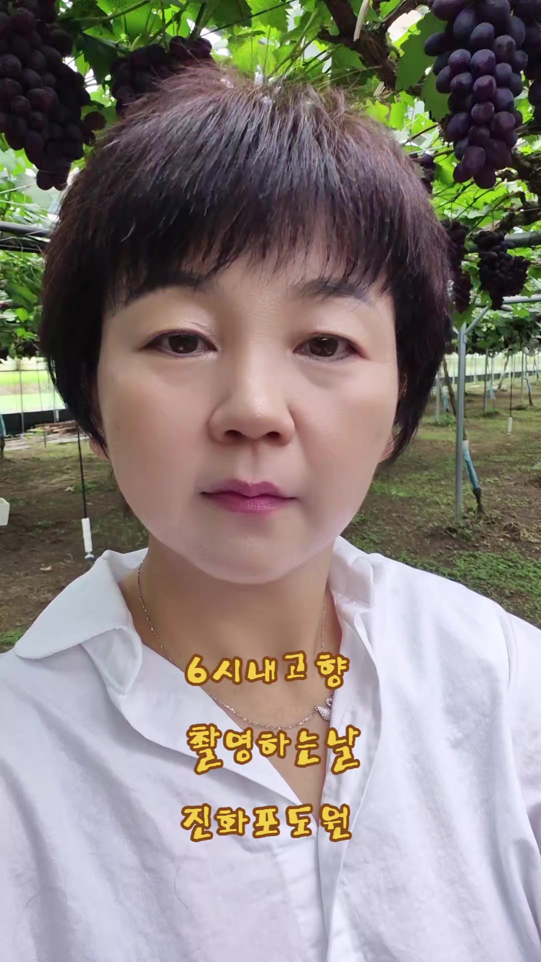 @진화포도원