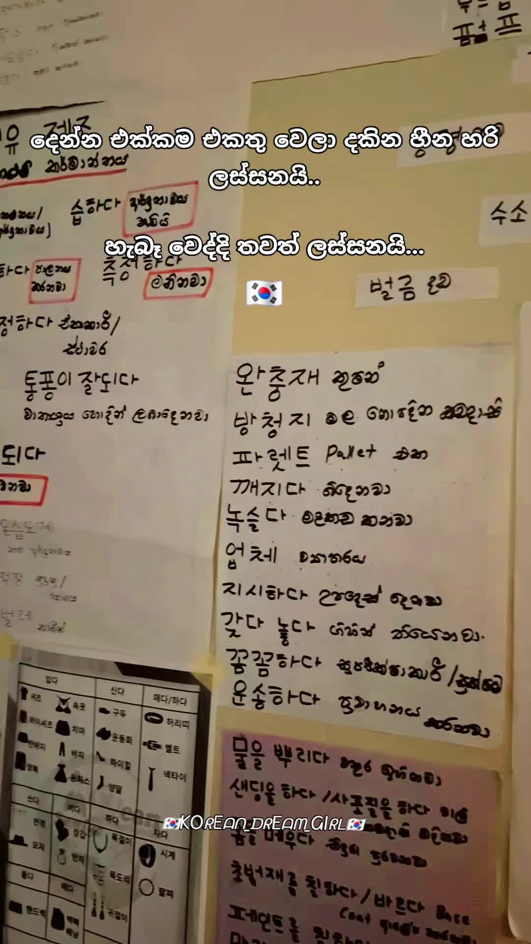 @🇰🇷KOᖇEᗩᑎ_ᗪᖇEᗩᗰ_GIᖇᒪ🇰🇷
