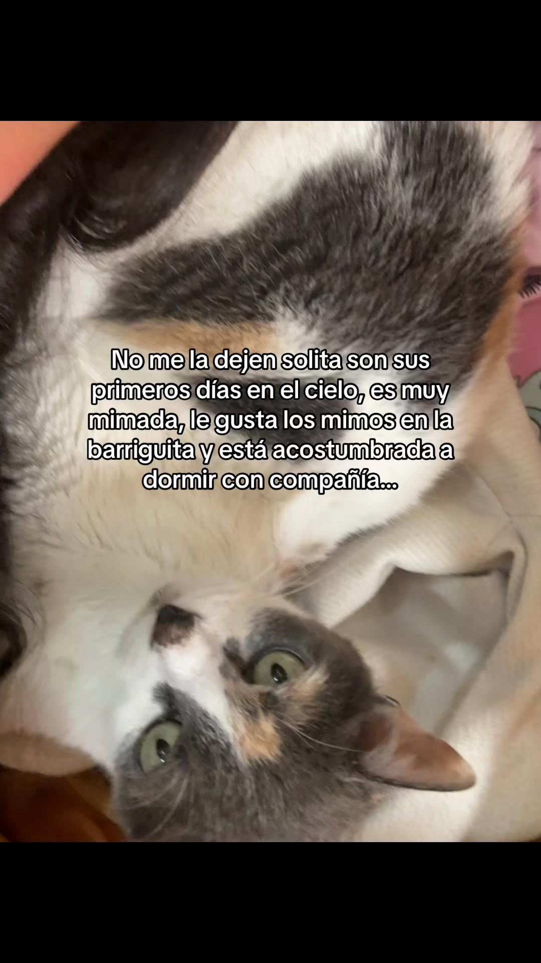 @𝓜𝓲𝓵𝓪♡