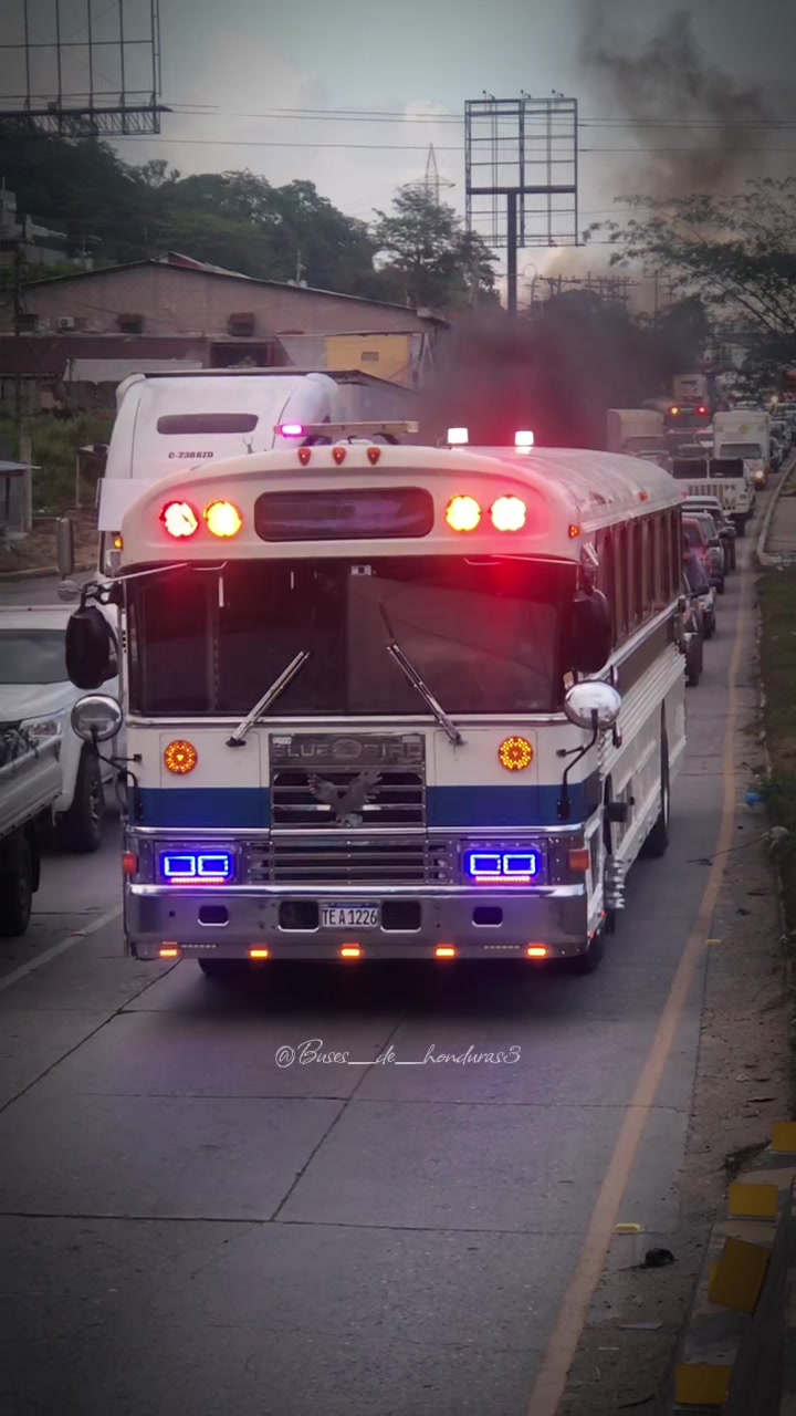@Buses De Honduras 504๐ธ๐ญ๐ณ