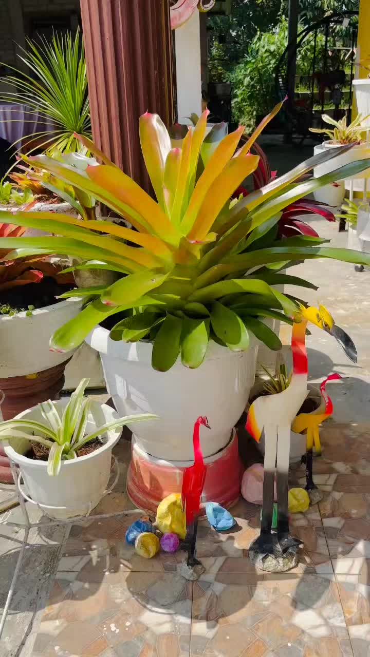 @Samsiah