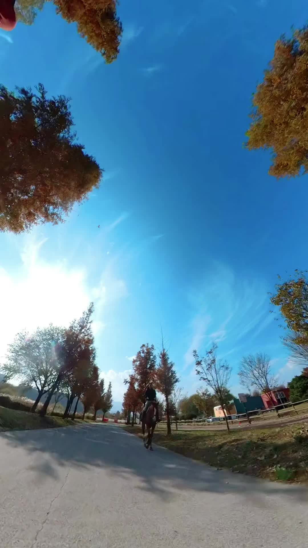 @🐎타는바린이🏍