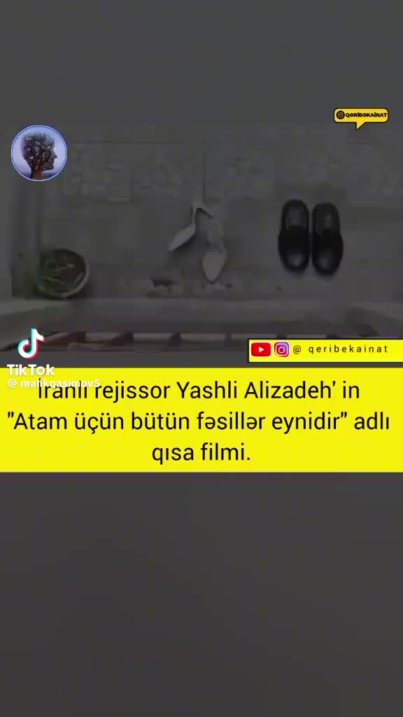 @Elg&uuml;n Abdullayev