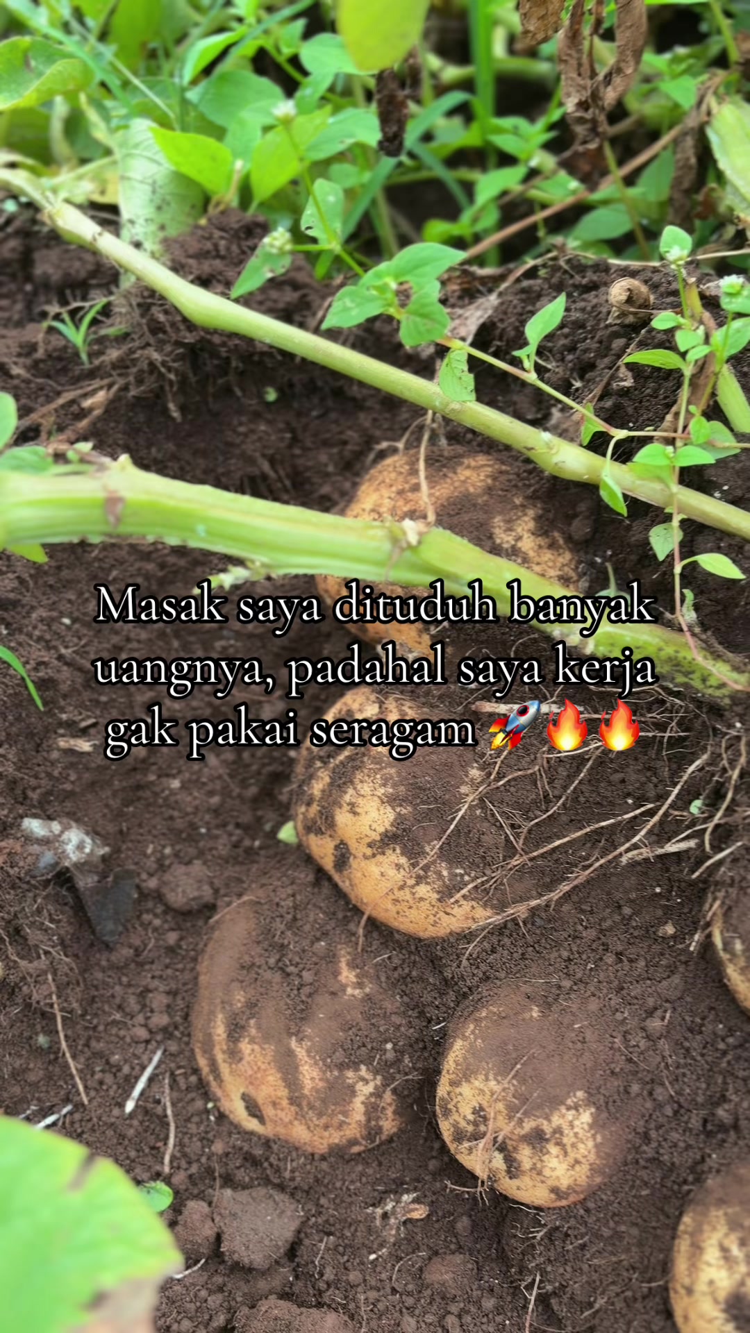 @nanda_setiawan_