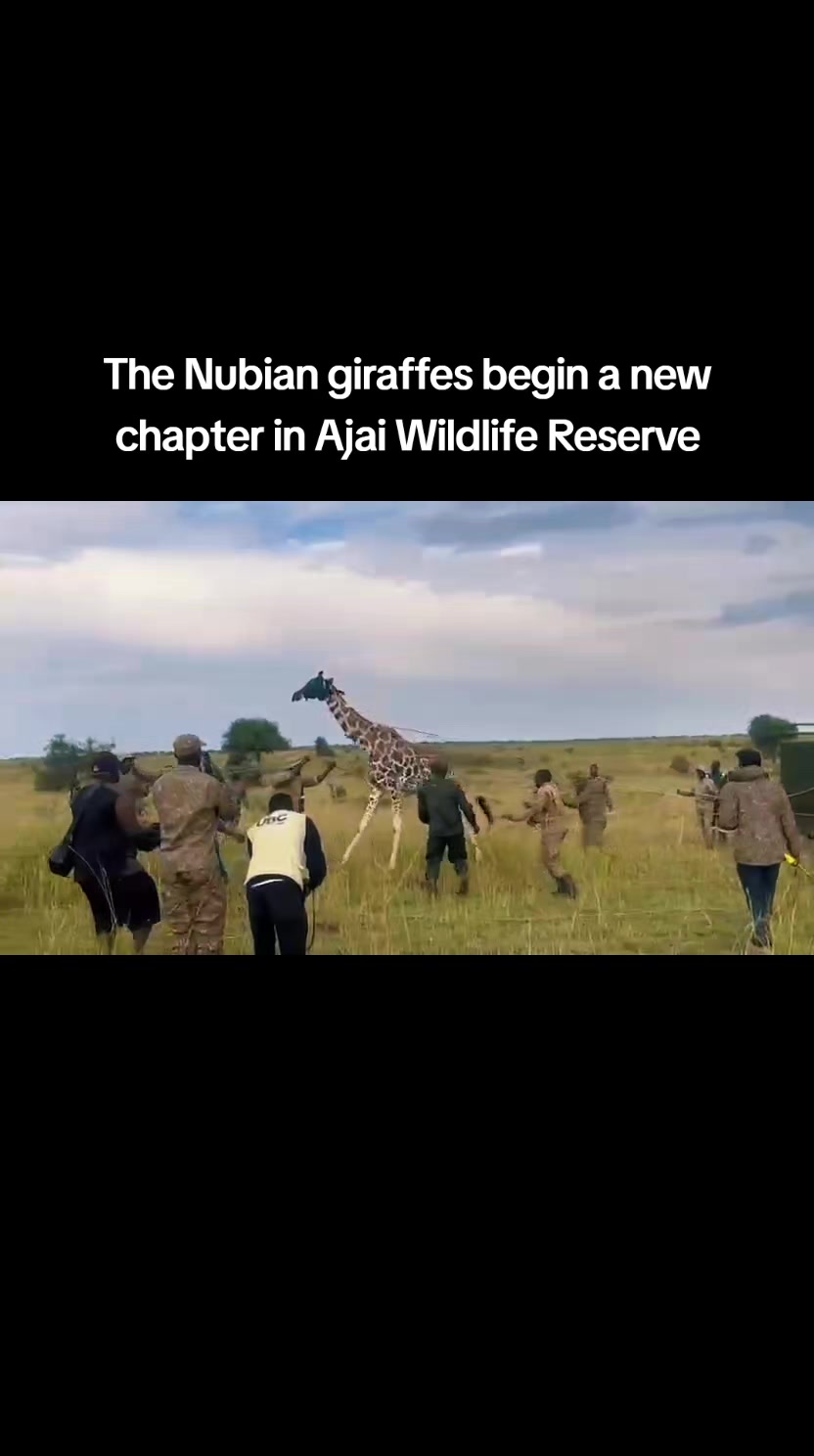 @Omukakamu Jones