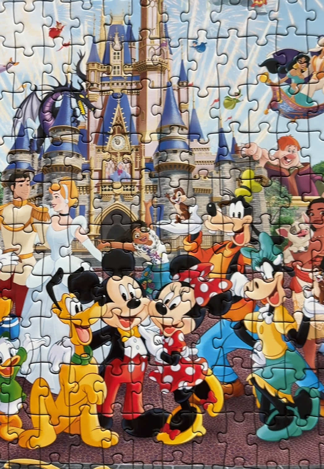 @Disney Dreamer