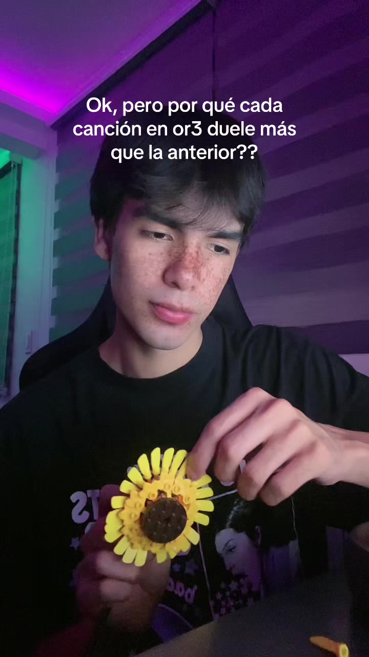 @Gerardo Monroy ✨