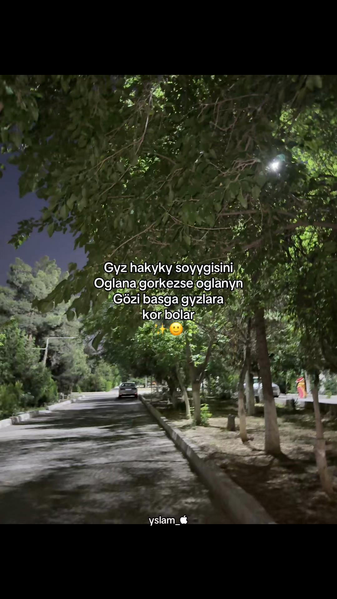 @Yslam_