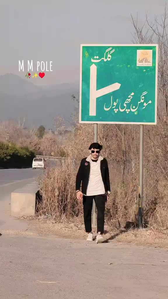 @⚜️stylish boy..🐼