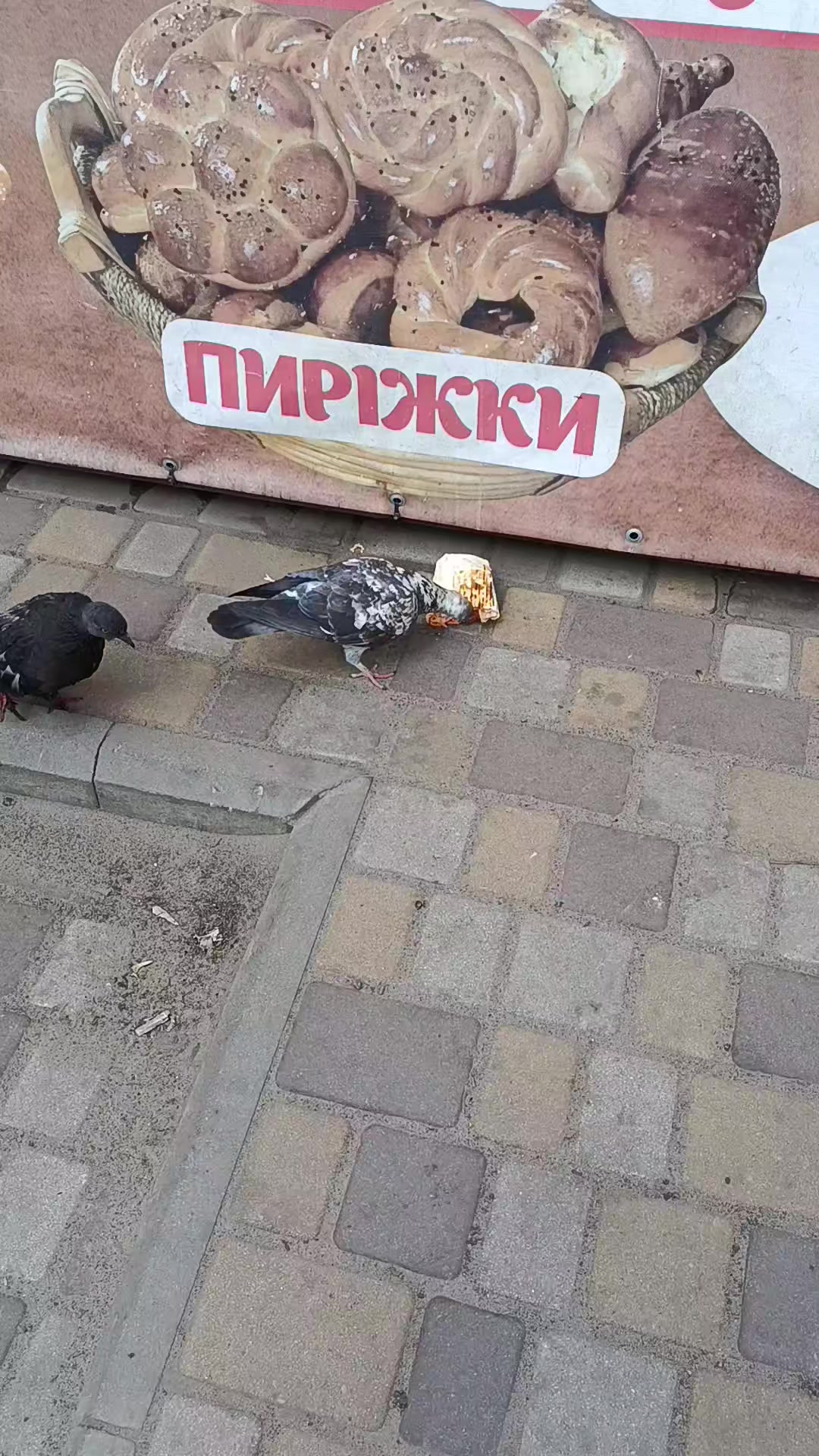 @Ксения