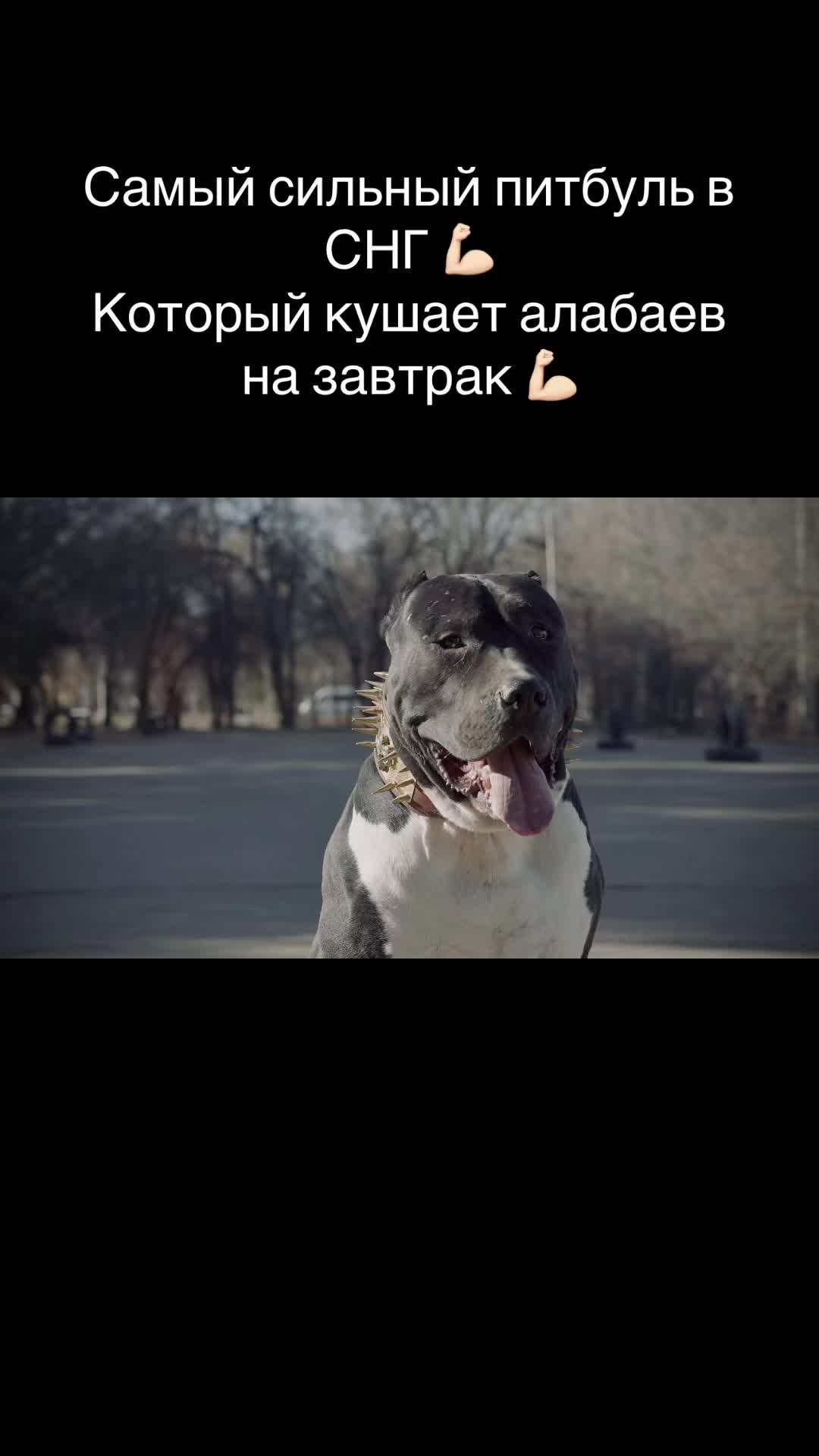 @БАЛУ