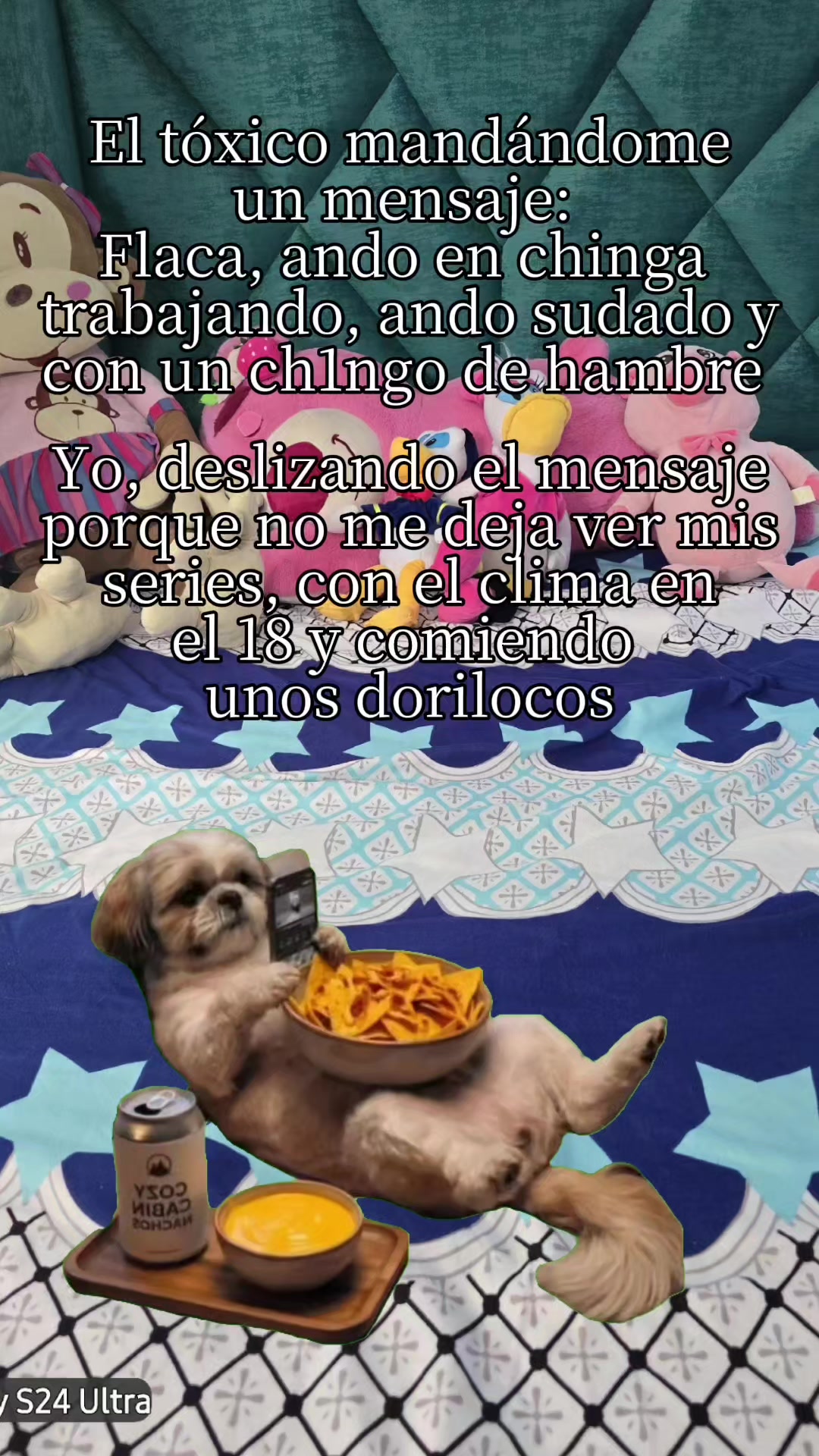 @Barbara Roo