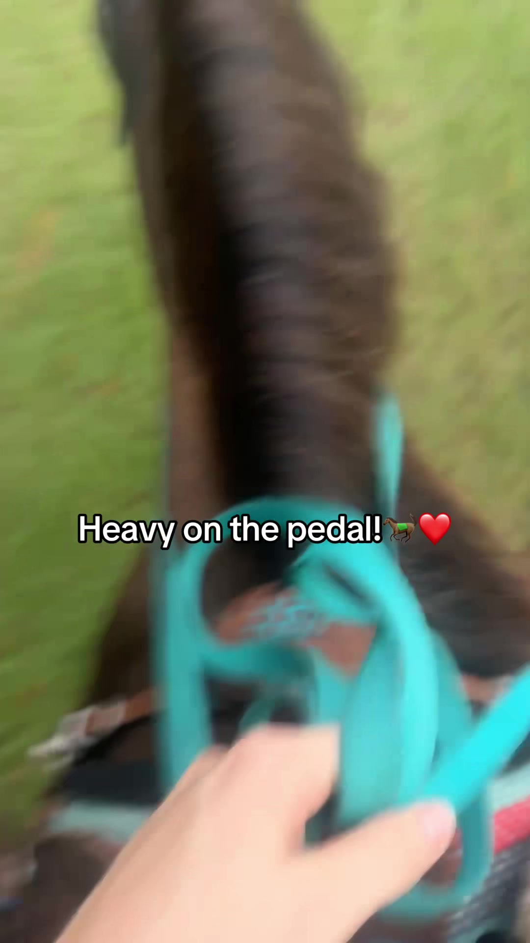 @holly_wood2427