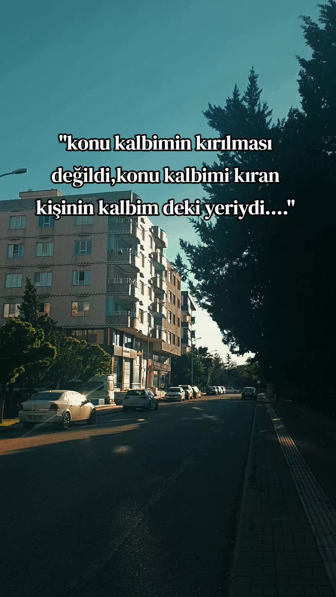 @❤️🩹🕊️