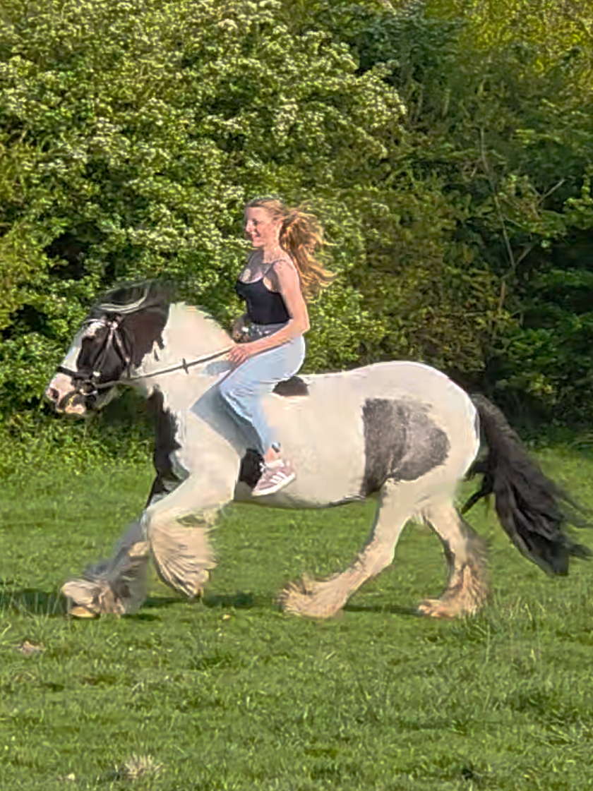 @Josys_Ponyhof-leben