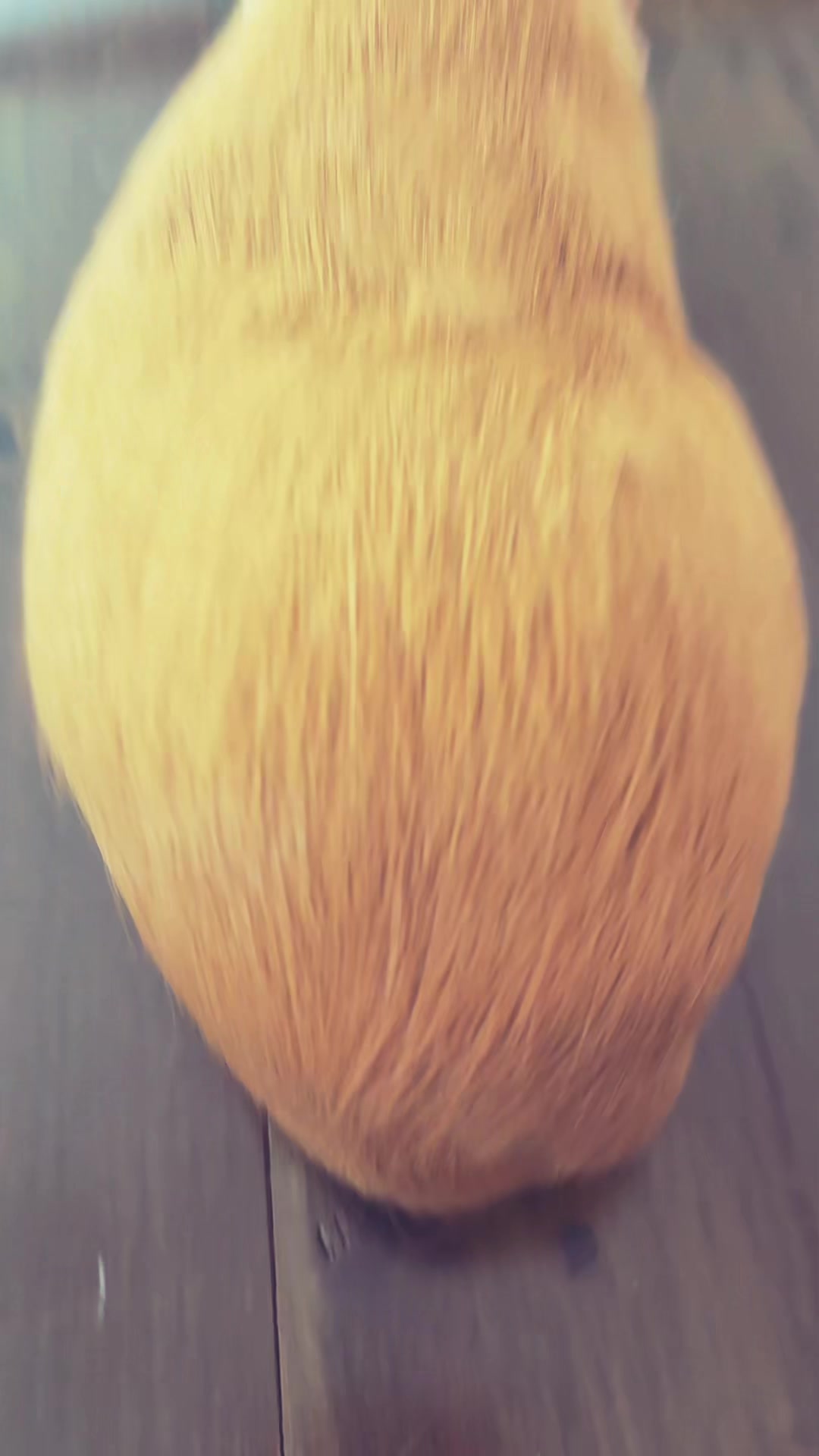 @𝐿𝓊𝒸𝓎