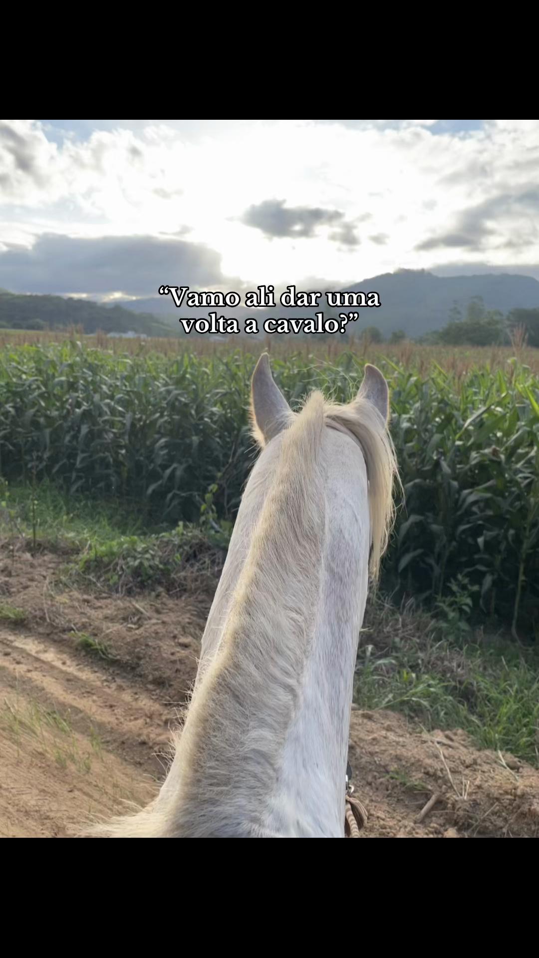 @Dona do Colorado🤎🐴