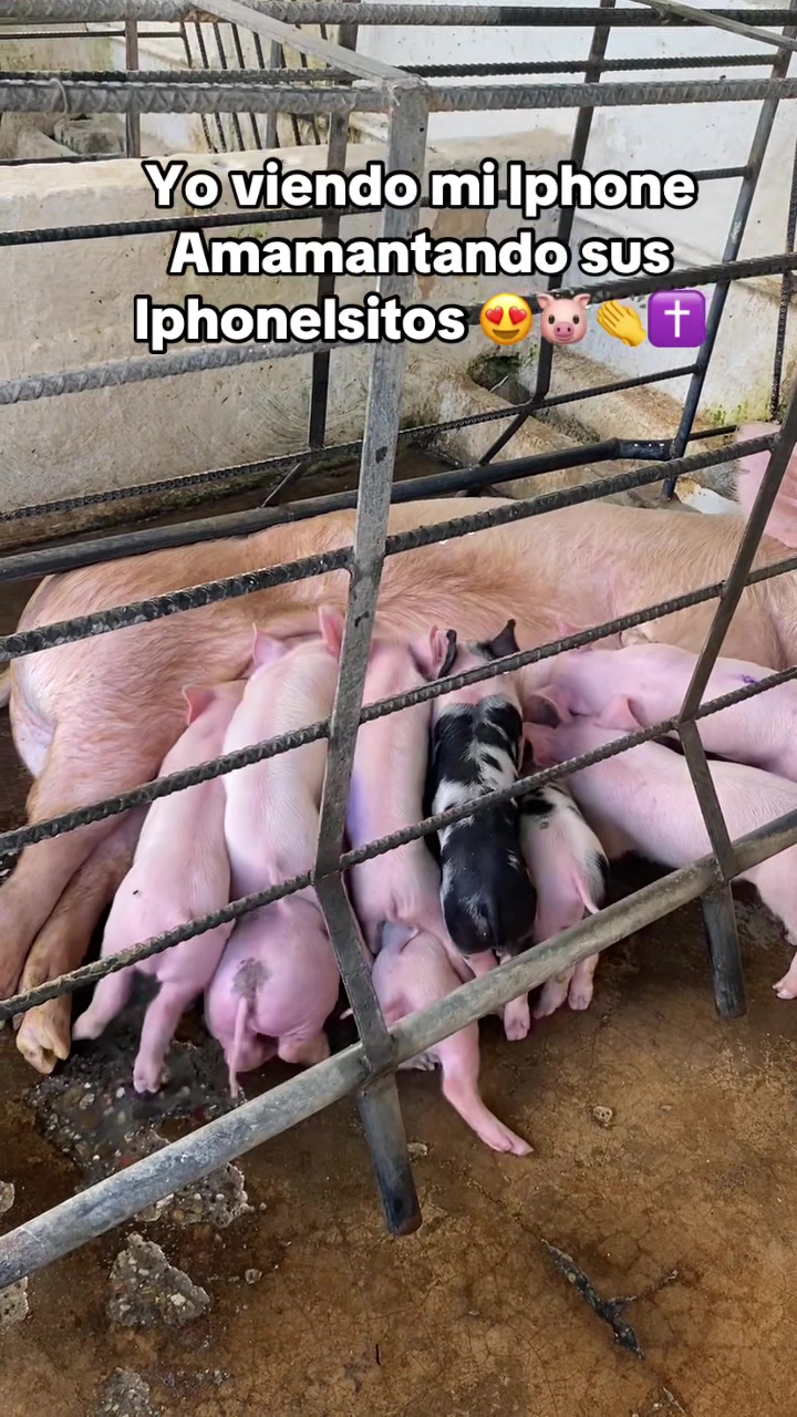 @Alejandra 🎀