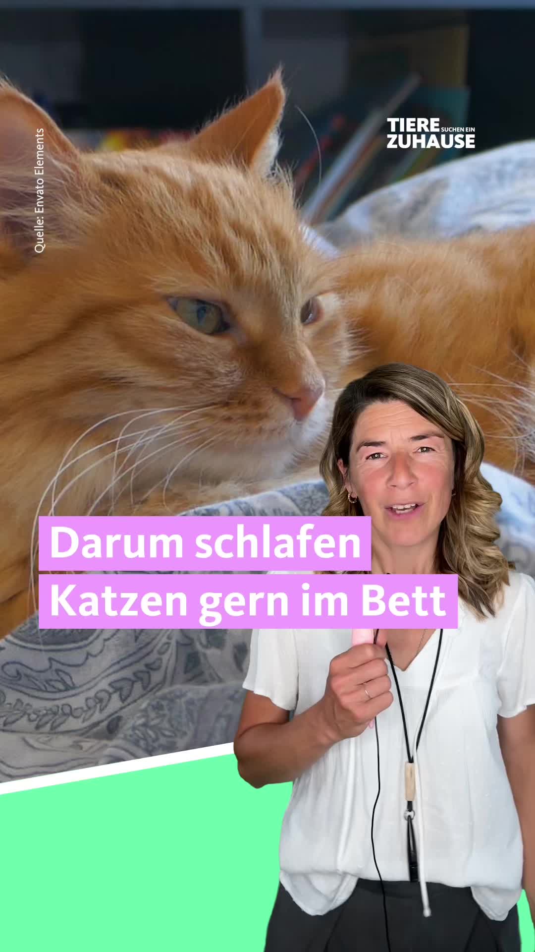 @Tiere suchen ein Zuhause