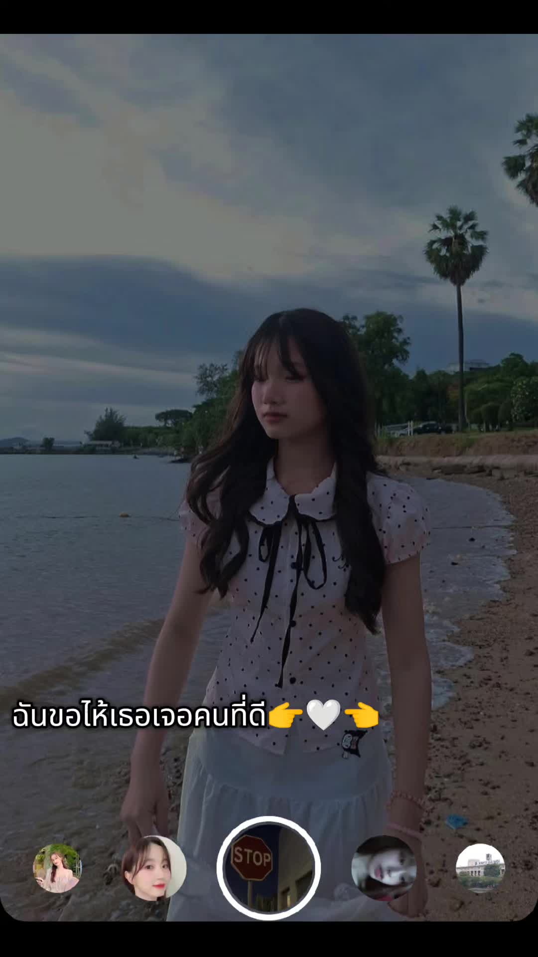 @👉🩷ผักบุ้ง🩷👈[82.3k]✅