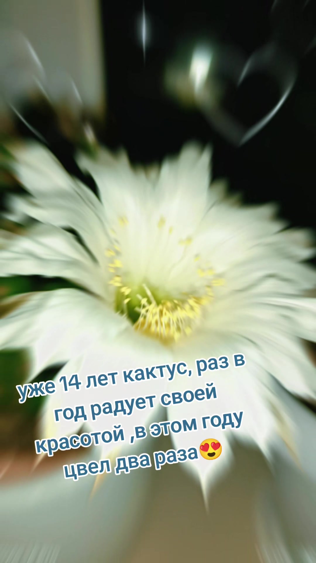 @ksuferder
