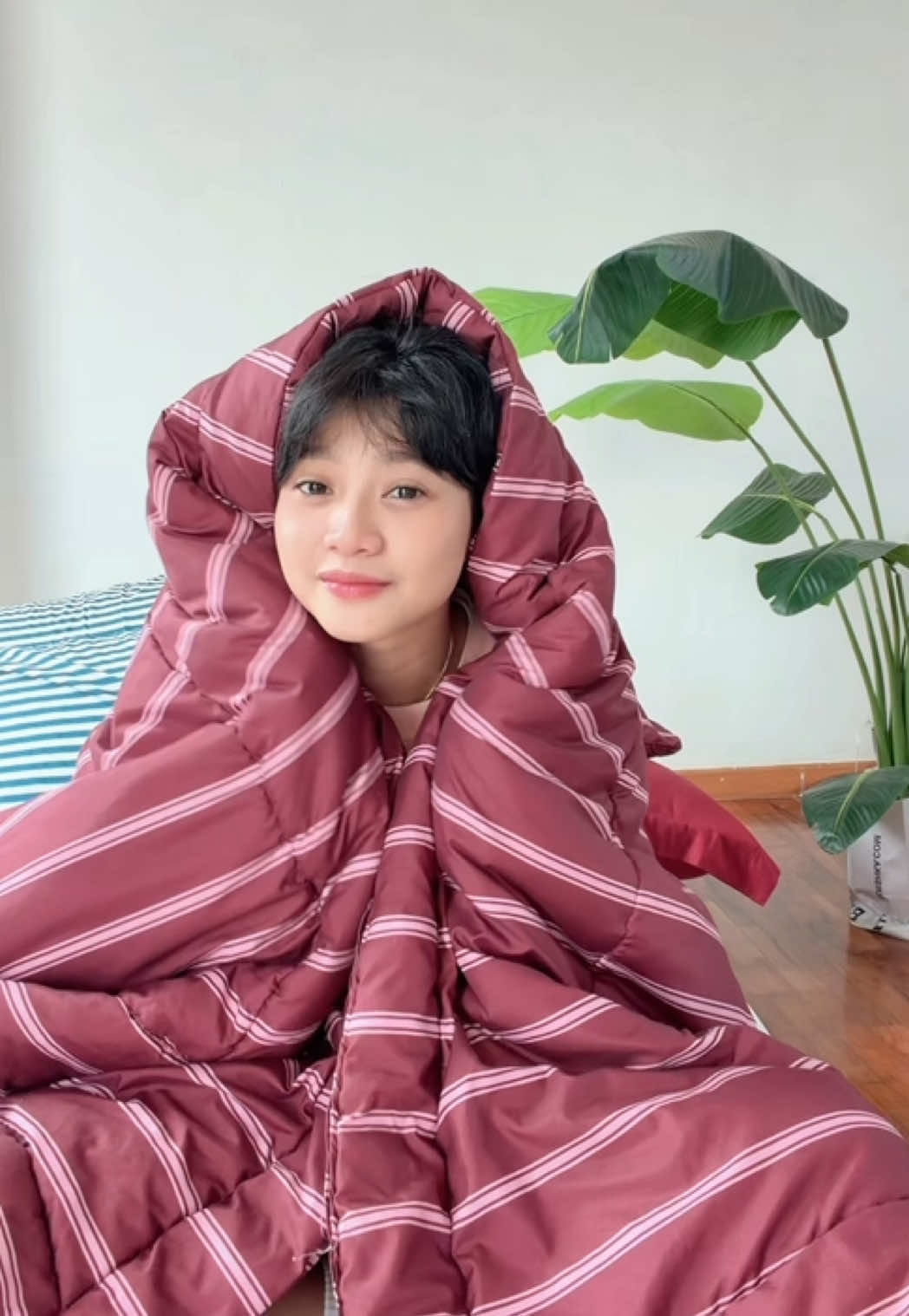 @ia ₊˚⊹♡