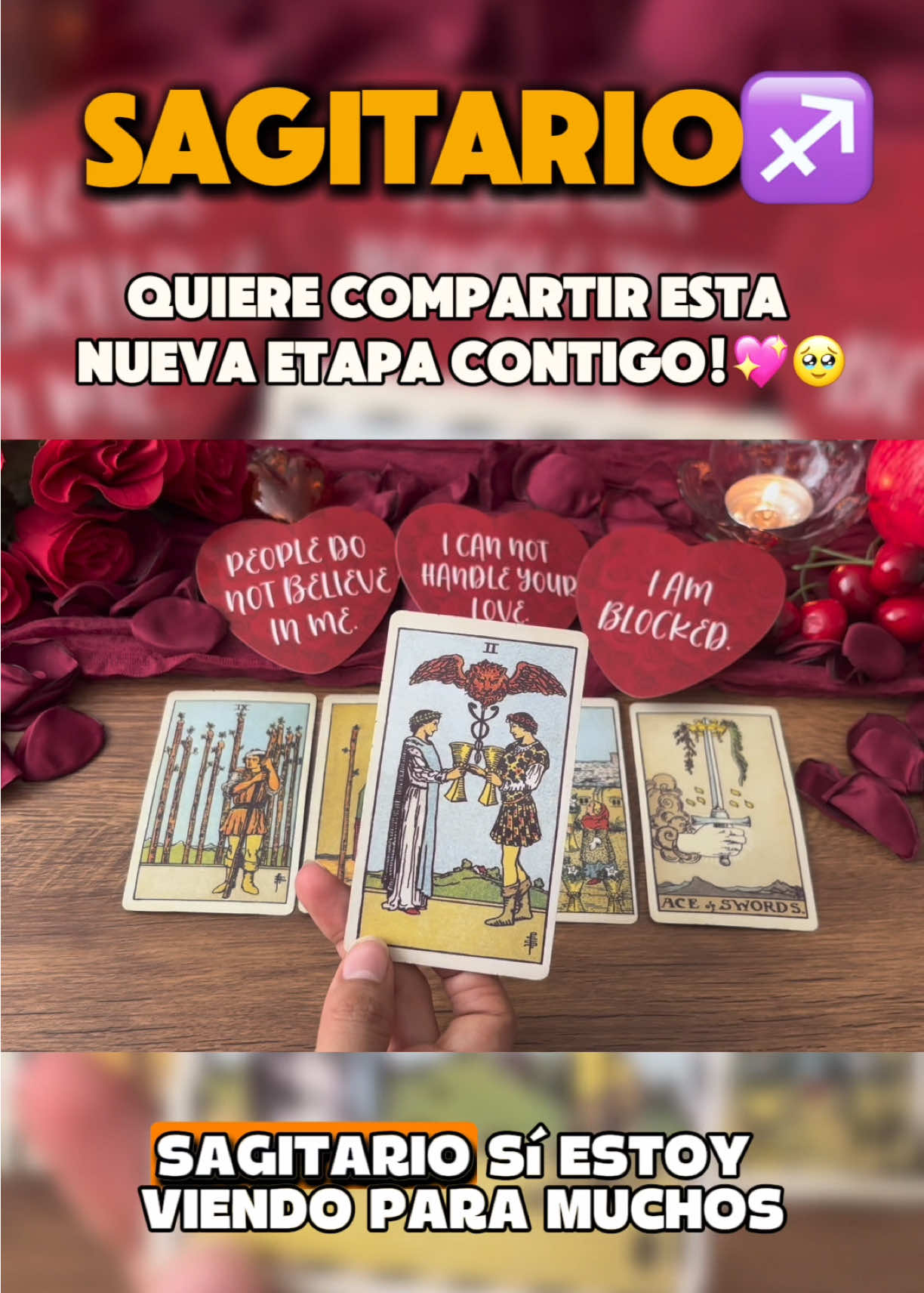 @Andy Sun Tarot ☀️