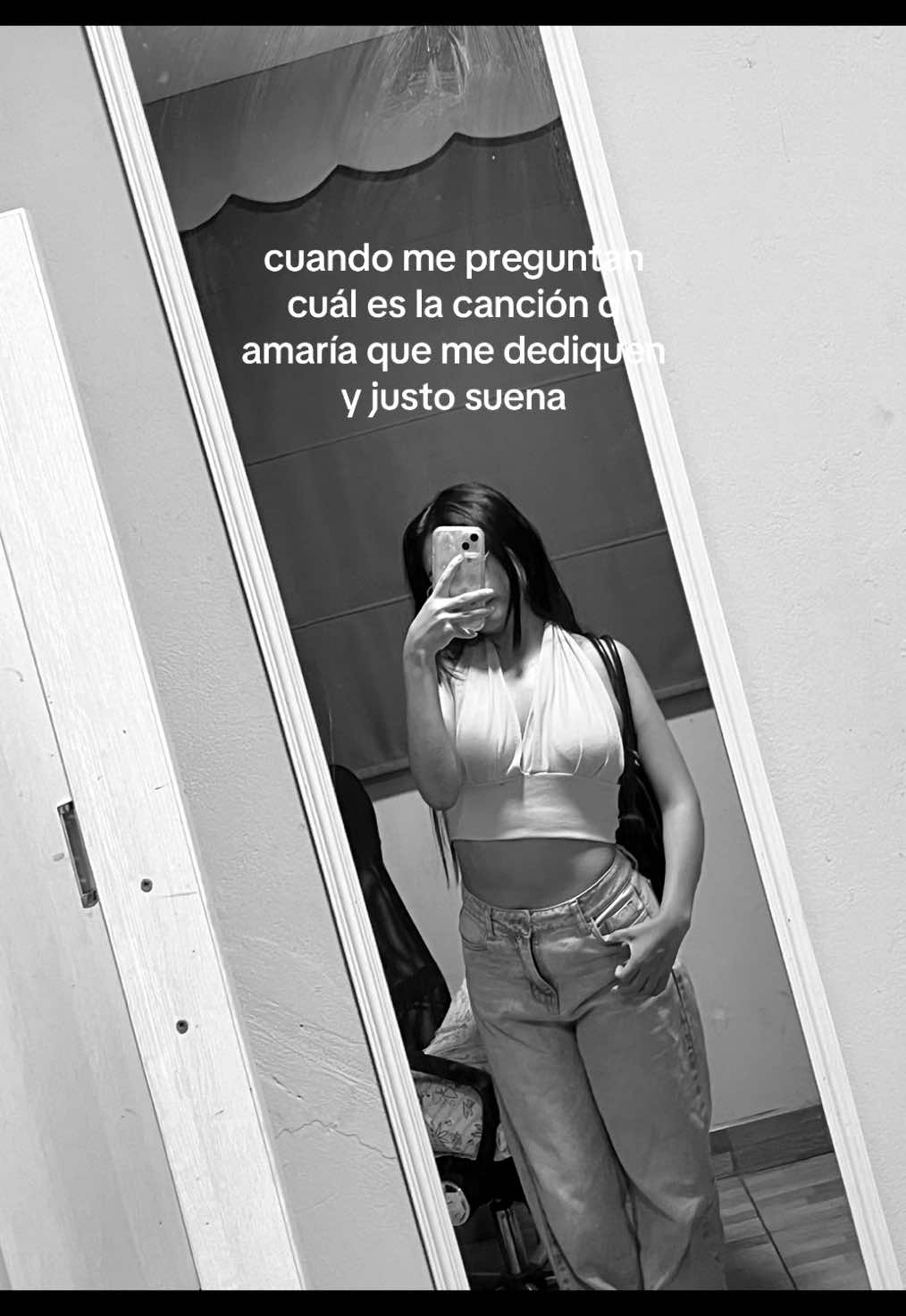 @brisa