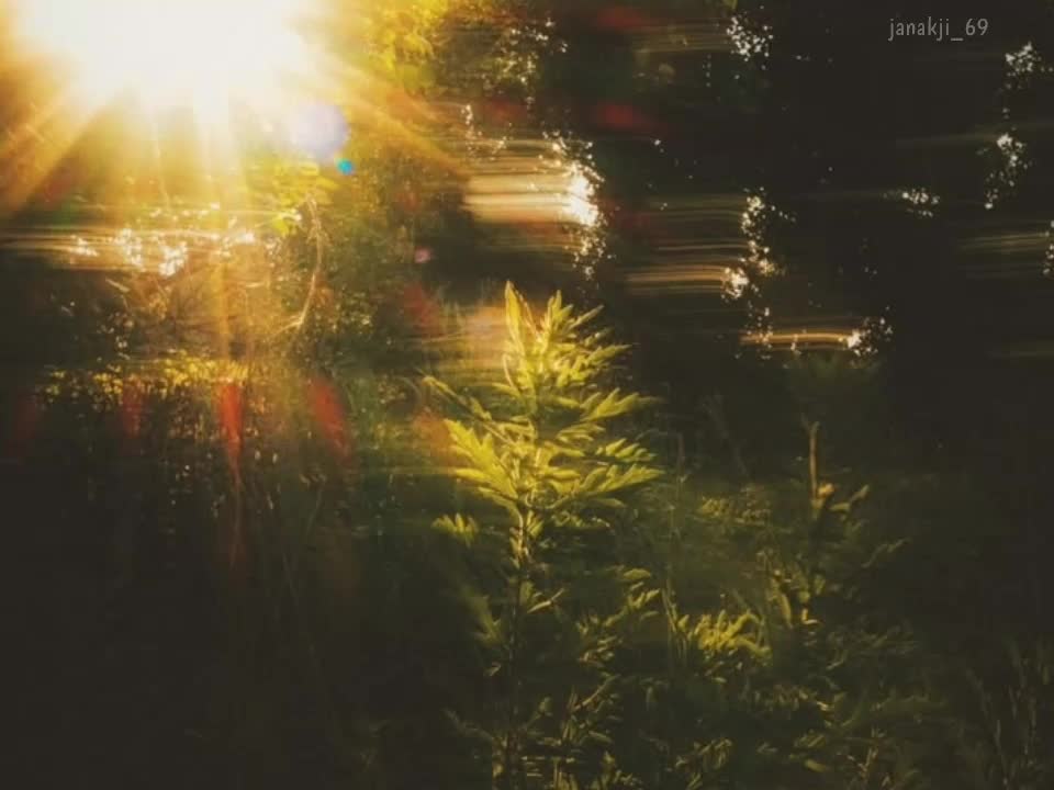 @𝙅𝙖𝙣𝙖𝙠 𝙟𝙞🧿